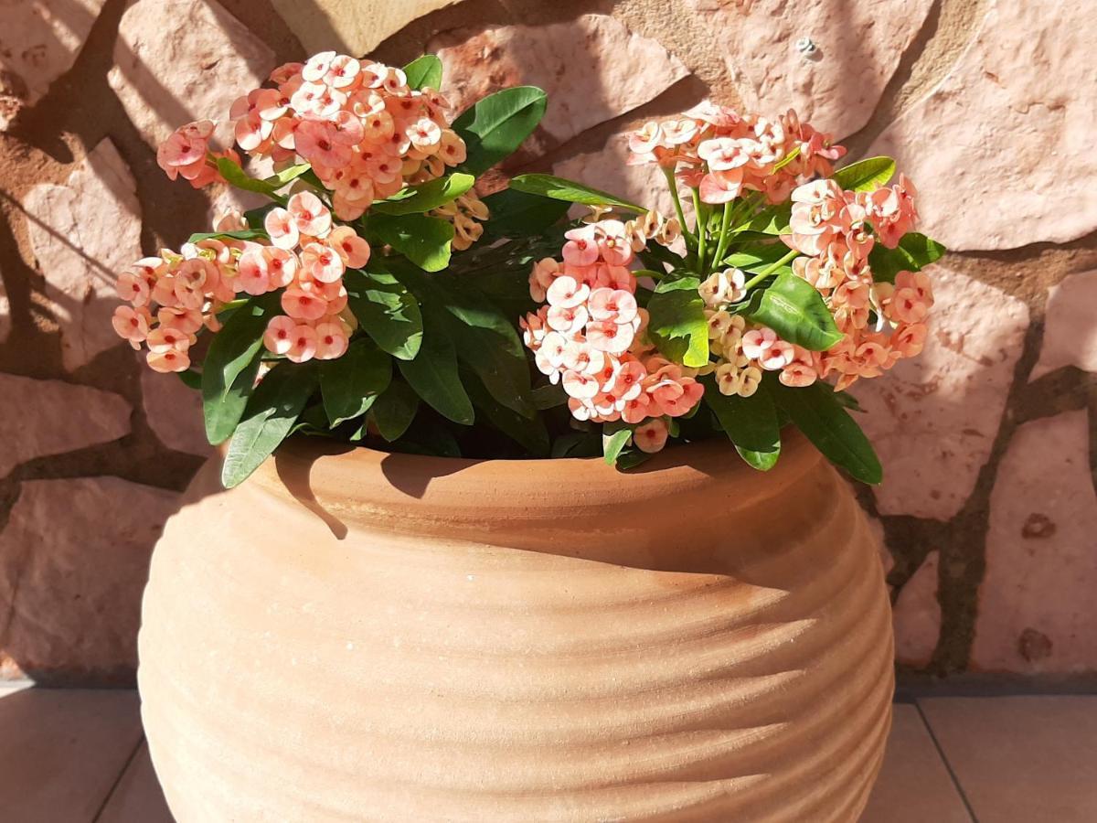 Aloe Villa Chania Crete Georgioupoli Buitenkant foto